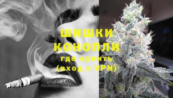 сатива Арсеньев