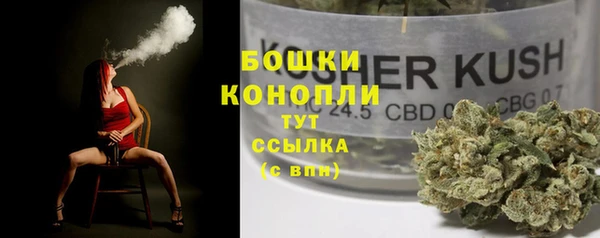гашик Армянск