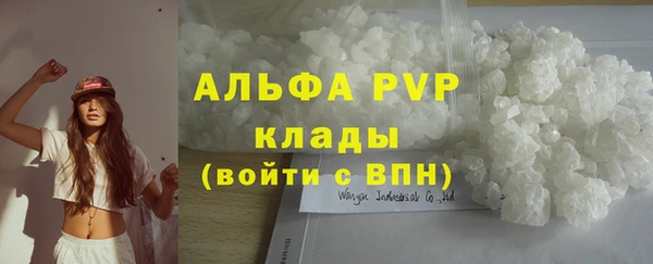 сатива Арсеньев