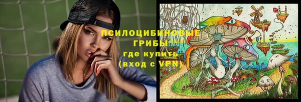 прущий лед Аркадак
